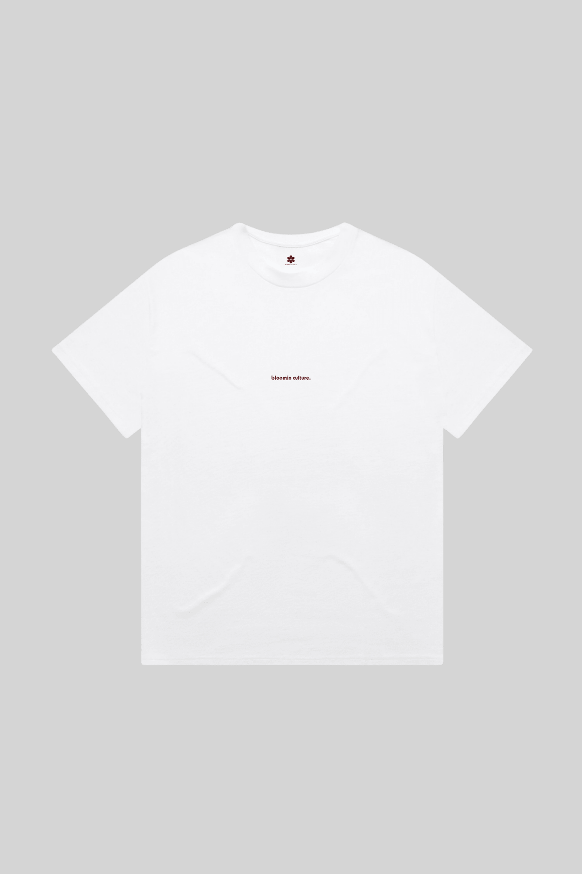 PREMIUM OVERSIZED T-SHIRT - Lowline Heavy Tee Red